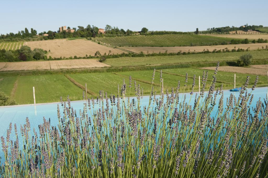 Agriturismo La Corte Dei Sogni Hotel Torrita di Siena Exterior photo